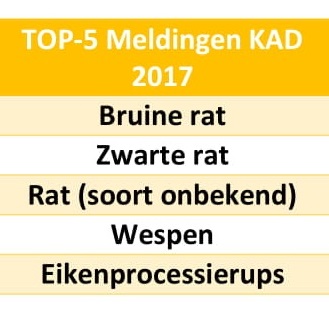 top-5