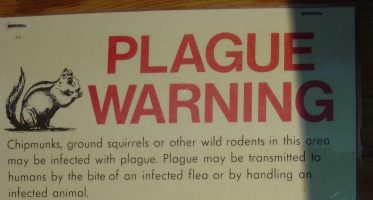 plague-warning