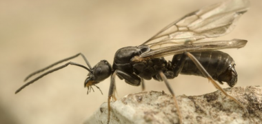 Schermafbeelding 2019-03-04 om 19.06.54