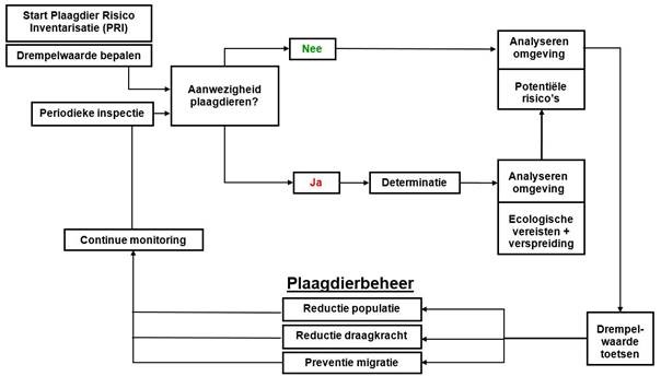 IPM schema