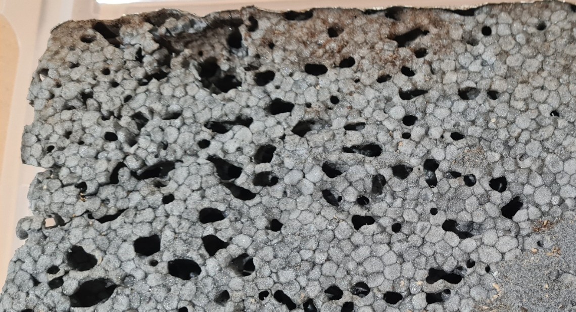 boommier - schade isolatiemateriaal